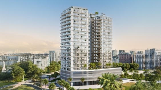 Cove Grand 1